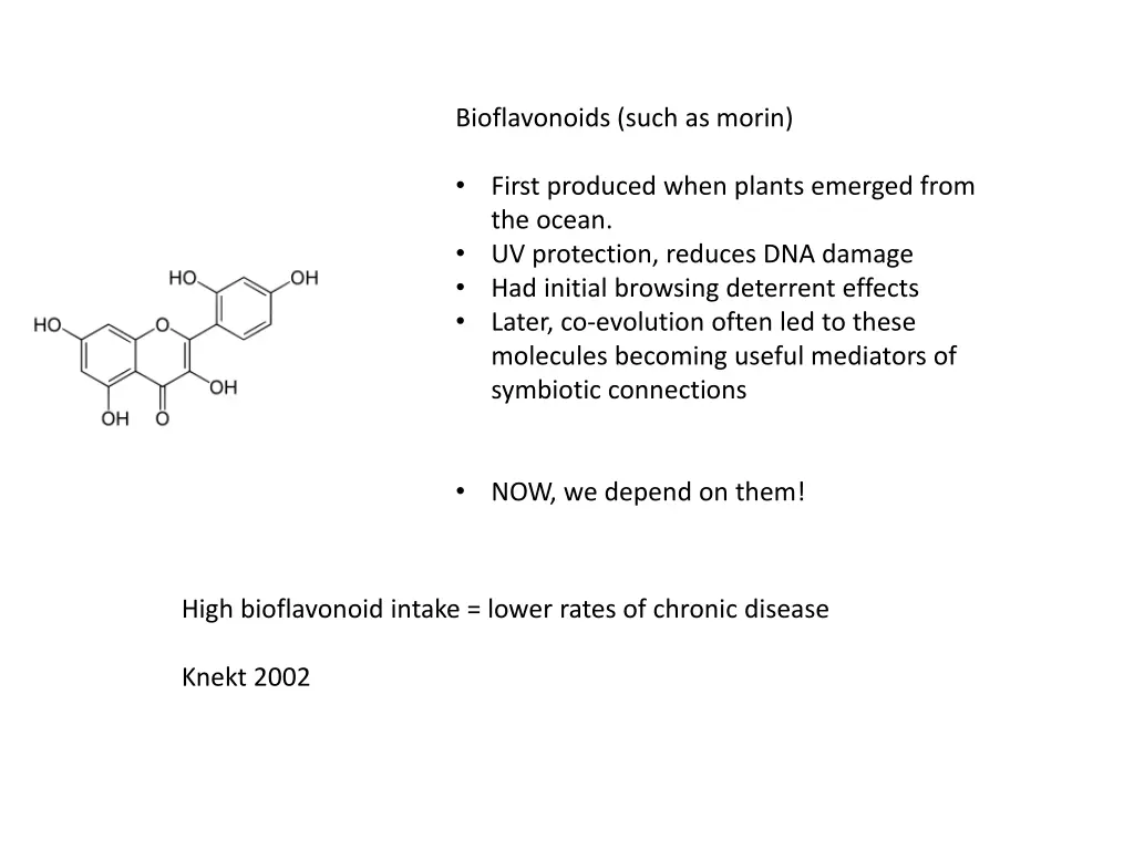 bioflavonoids such as morin 1