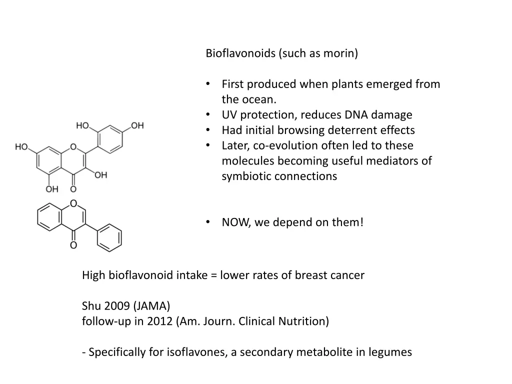 bioflavonoids such as morin 2