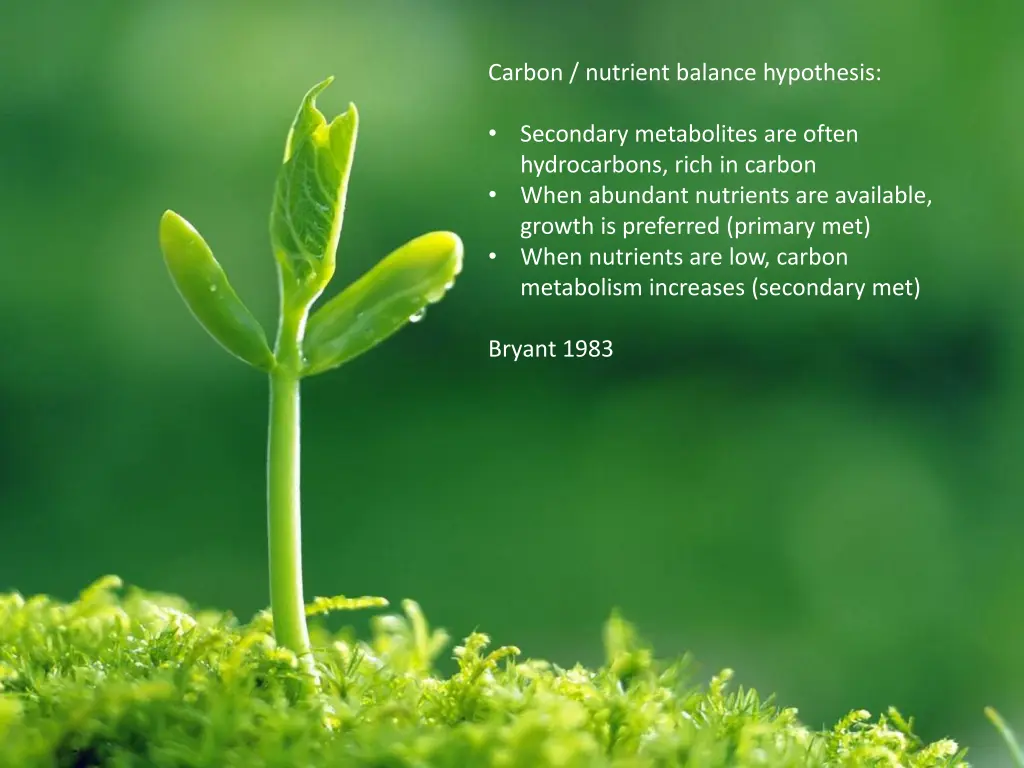 carbon nutrient balance hypothesis