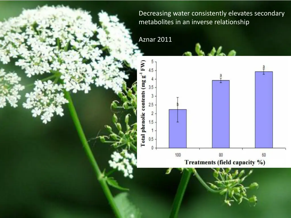 decreasing water consistently elevates secondary 1