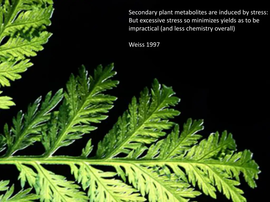 secondary plant metabolites are induced by stress 1