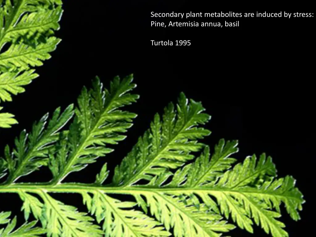 secondary plant metabolites are induced by stress