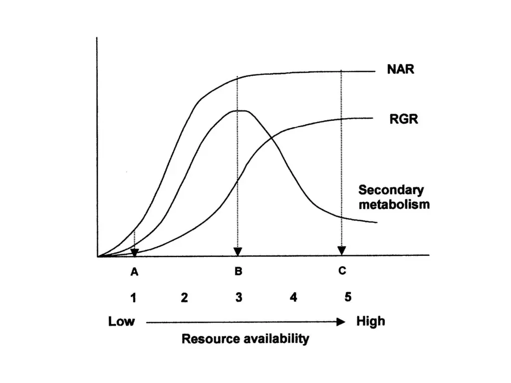 slide14