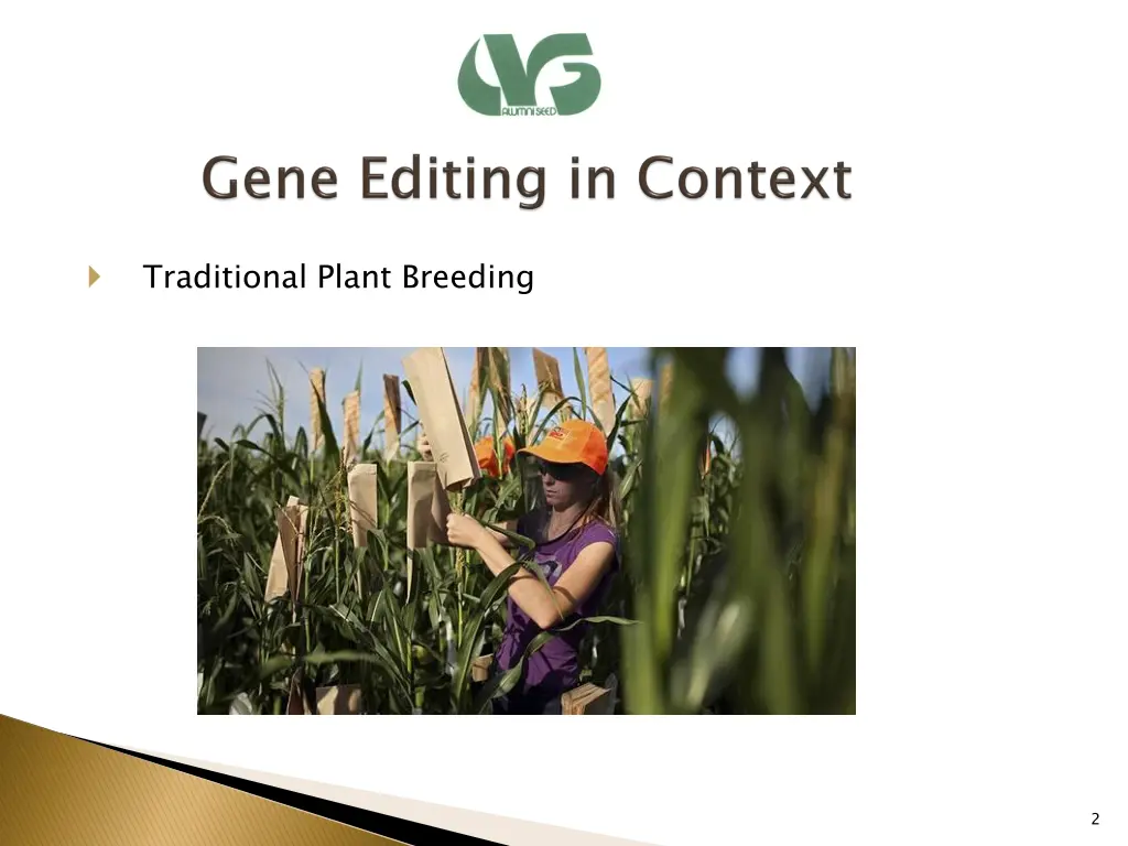 traditional plant breeding