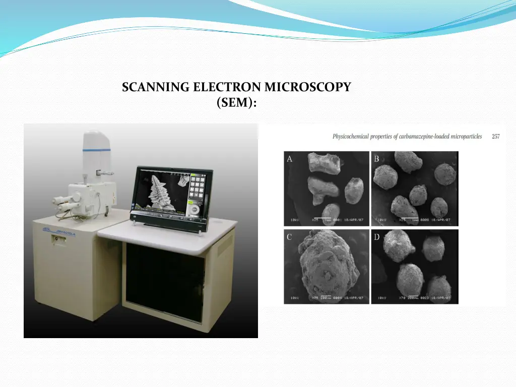 scanning electron microscopy sem