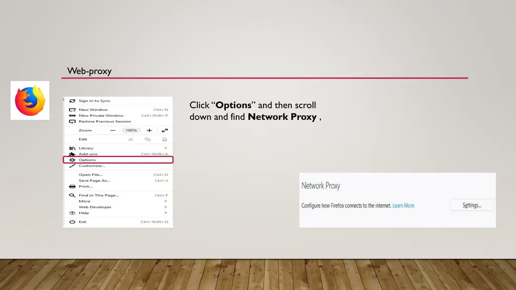 web proxy 1
