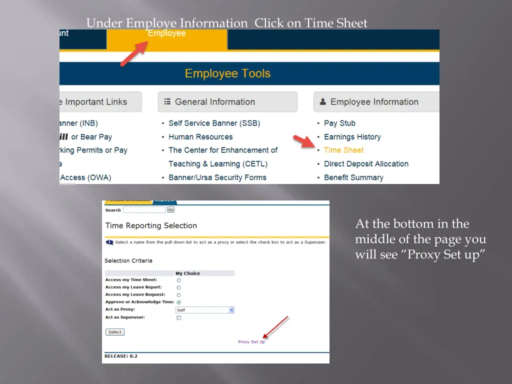 under employe information click on time sheet