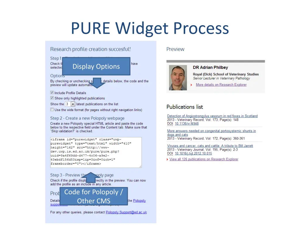 pure widget process 1