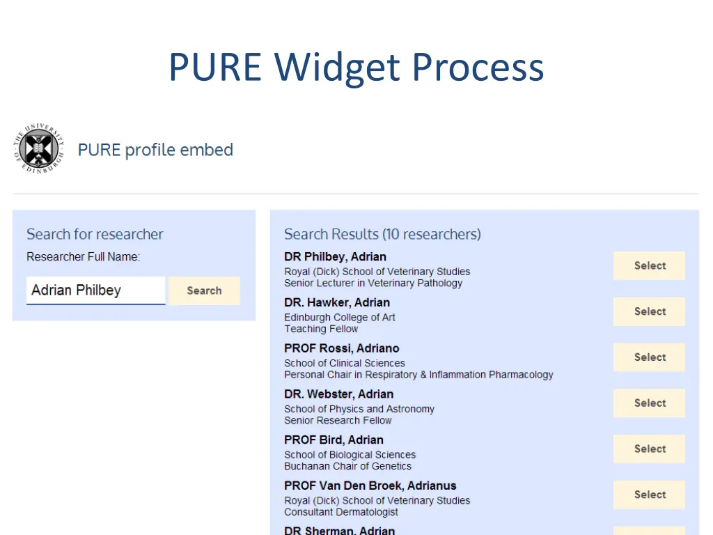 pure widget process