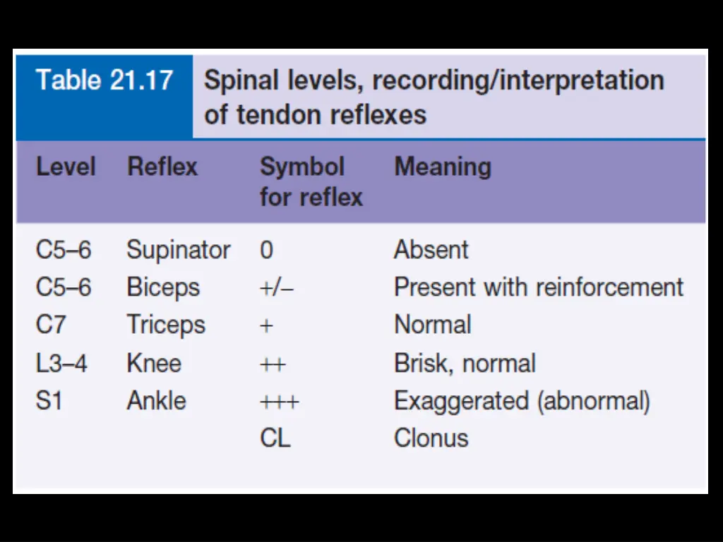 slide13