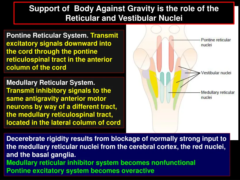 support of body against gravity is the role