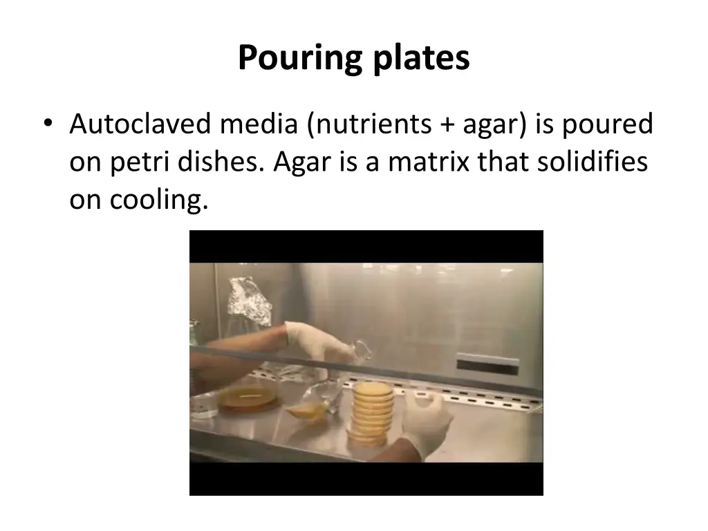 pouring plates