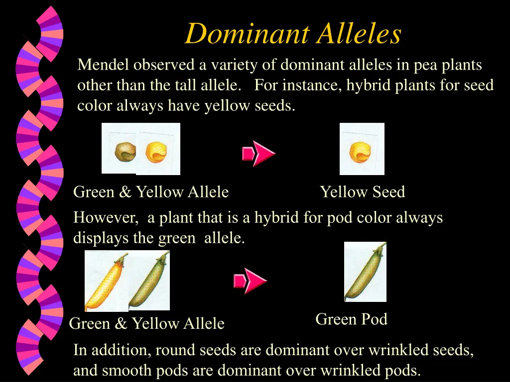 dominant alleles mendel observed a variety