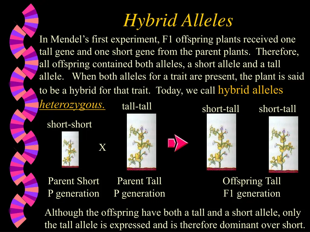 hybrid alleles