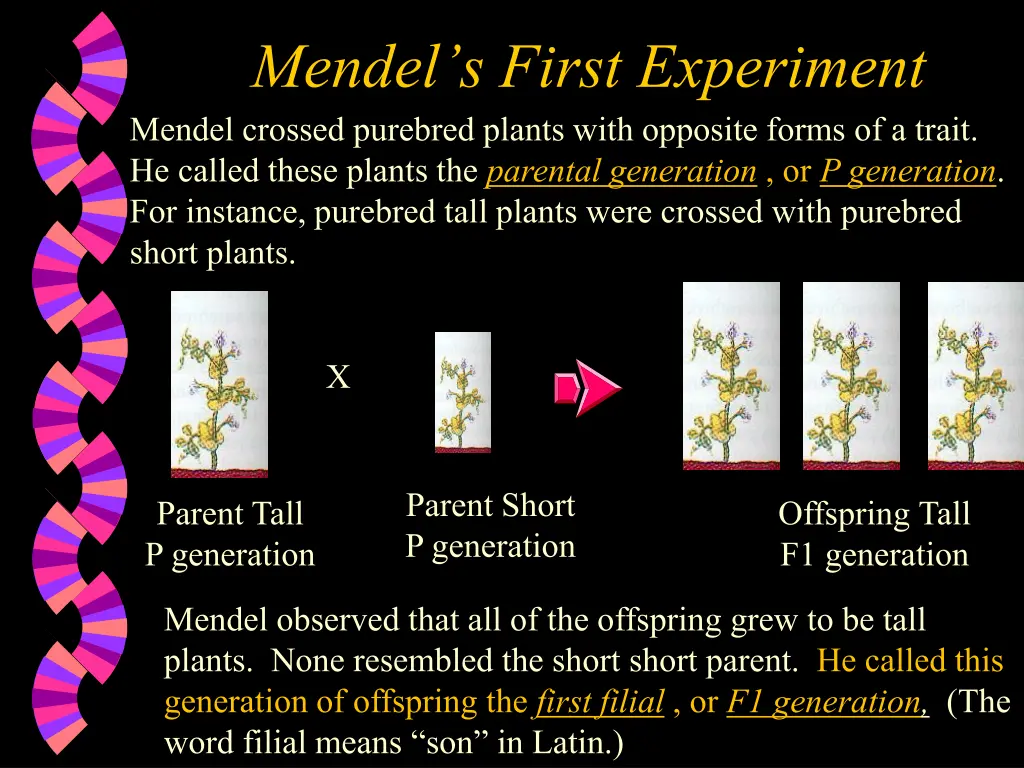 mendel s first experiment mendel crossed purebred