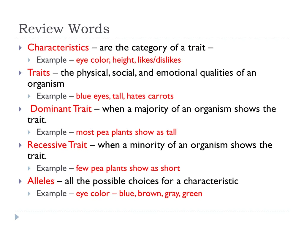 review words