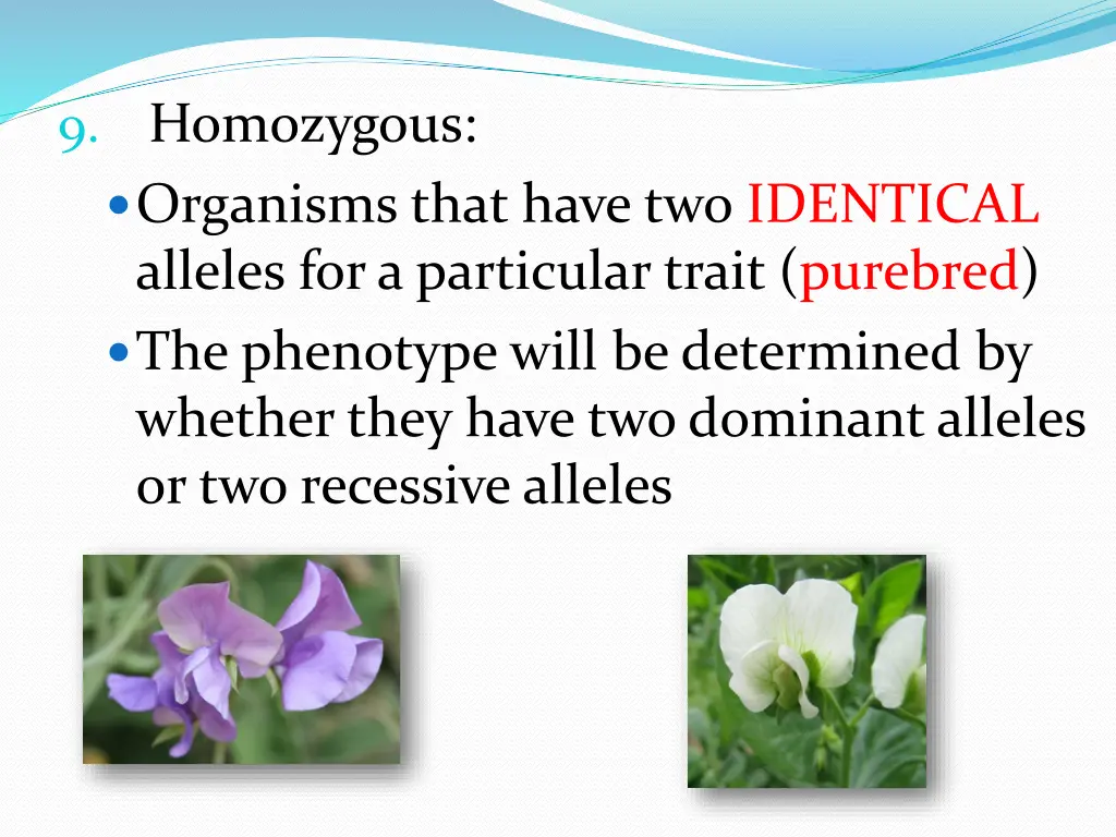 9 homozygous