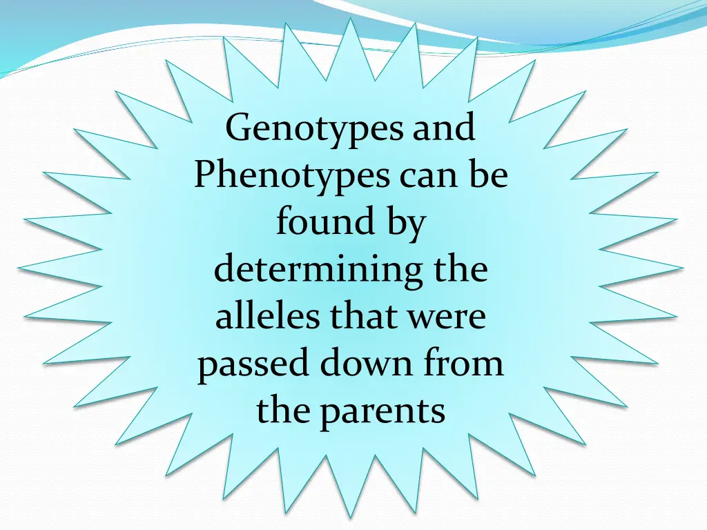 genotypes and phenotypes can be found