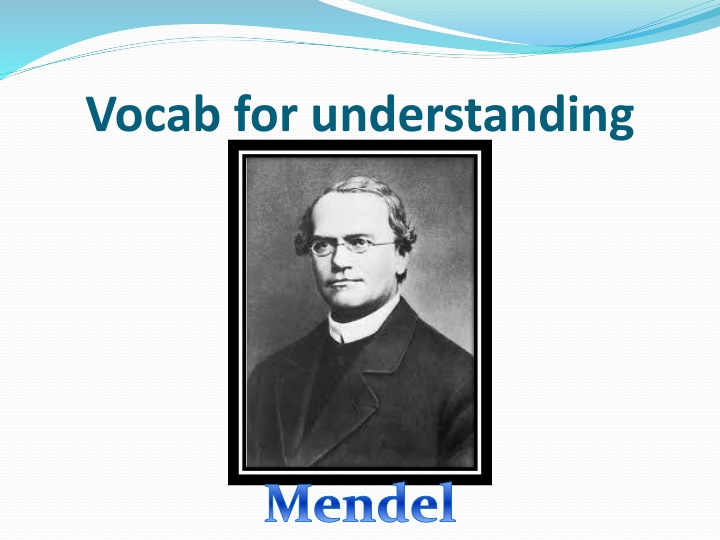 vocab for understanding