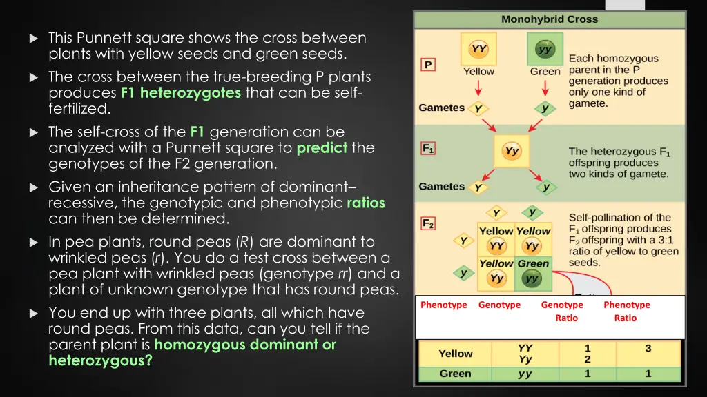 this punnett square shows the cross between