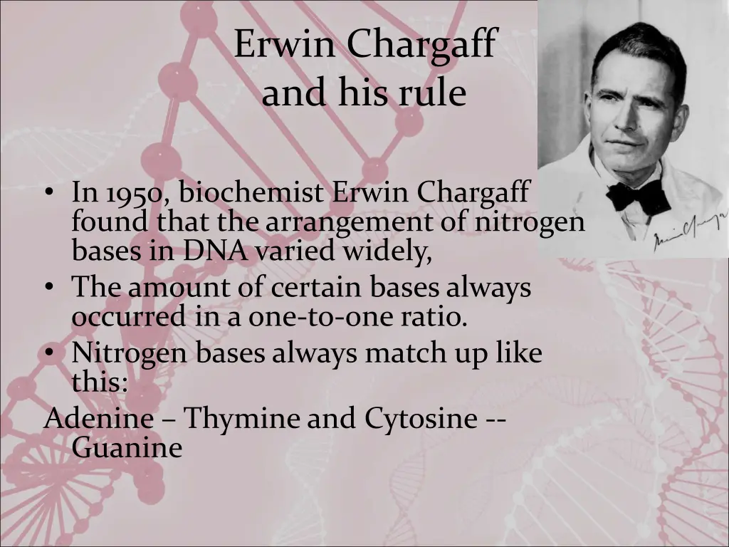 erwin chargaff and his rule