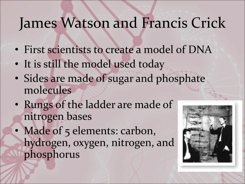 james watson and francis crick