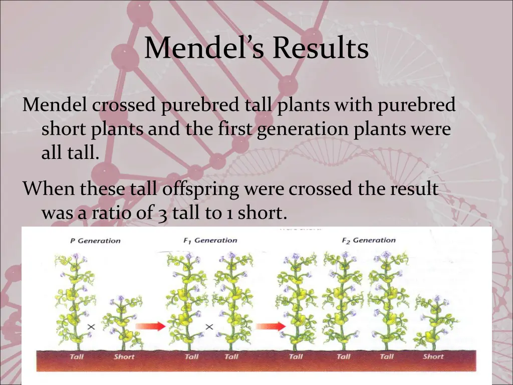 mendel s results