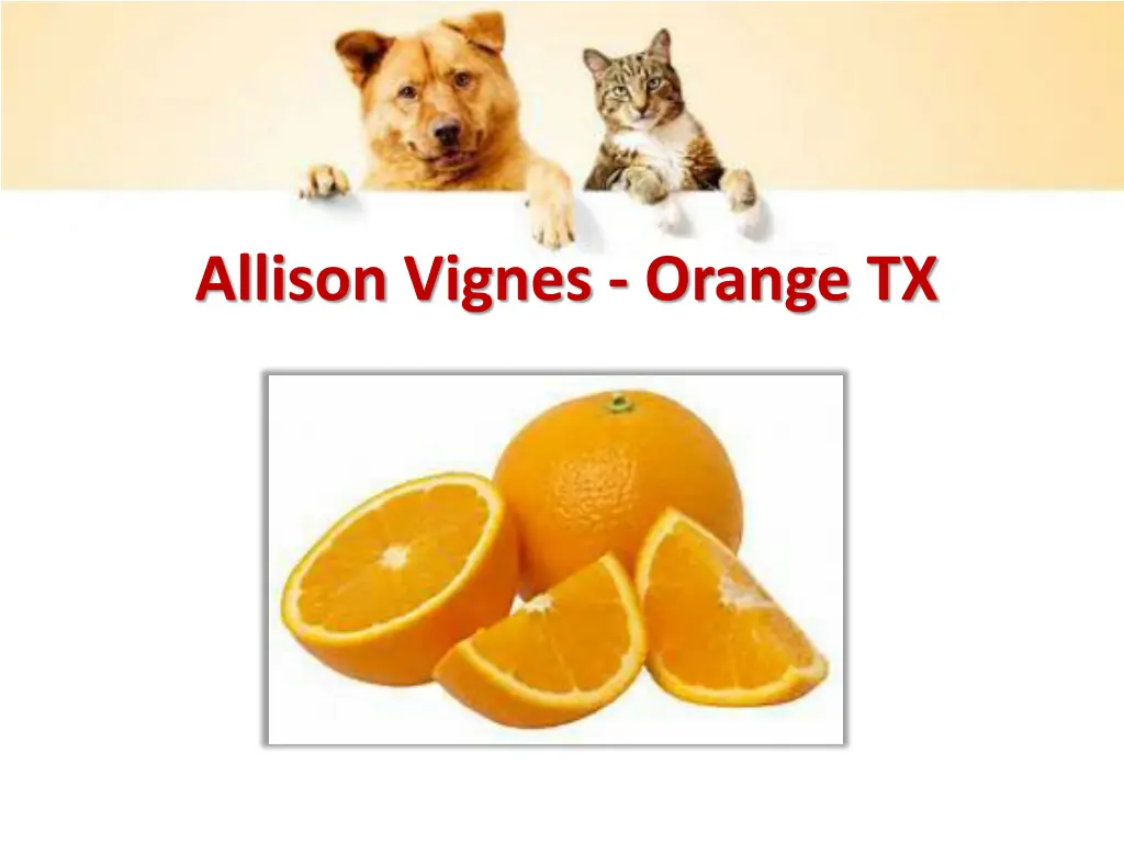 allison vignes orange tx