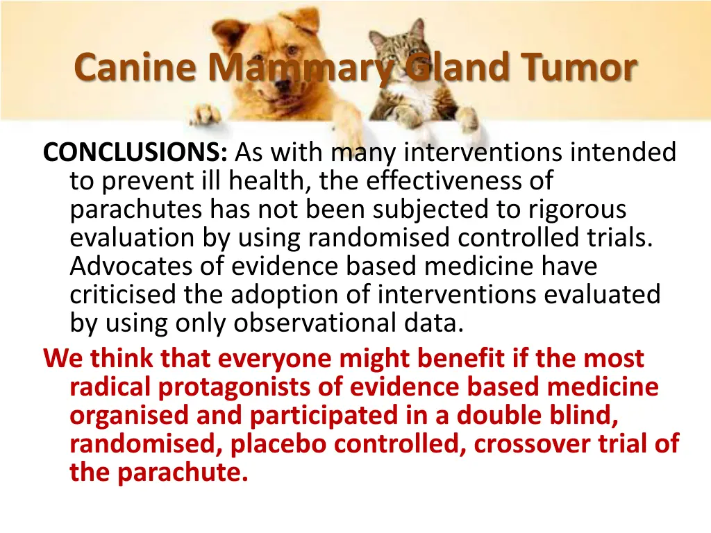 canine mammary gland tumor 4