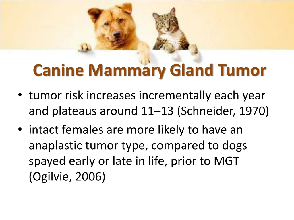 canine mammary gland tumor