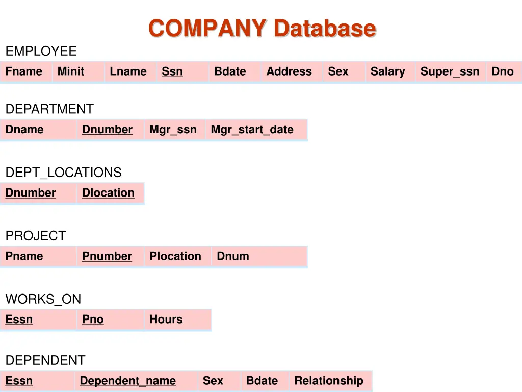 company database