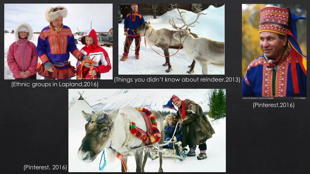 things you didn t know about reindeer 2013