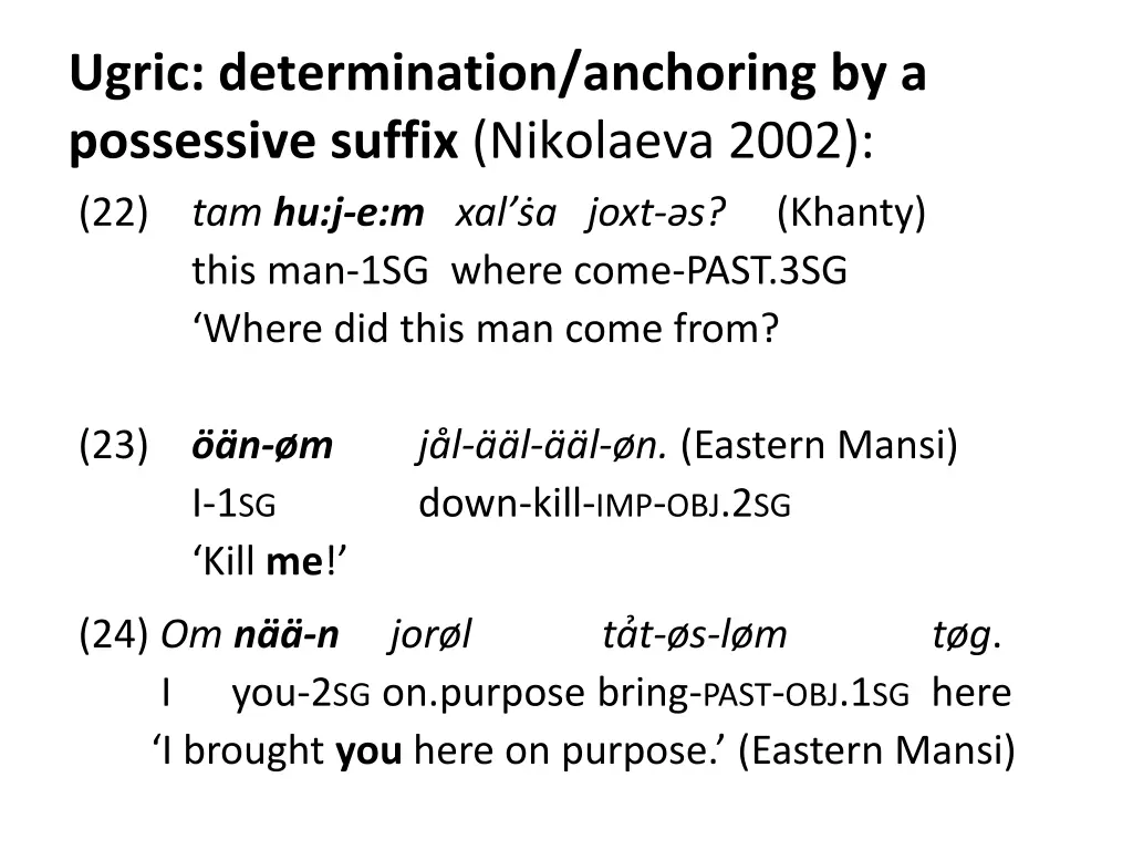 ugric determination anchoring by a possessive