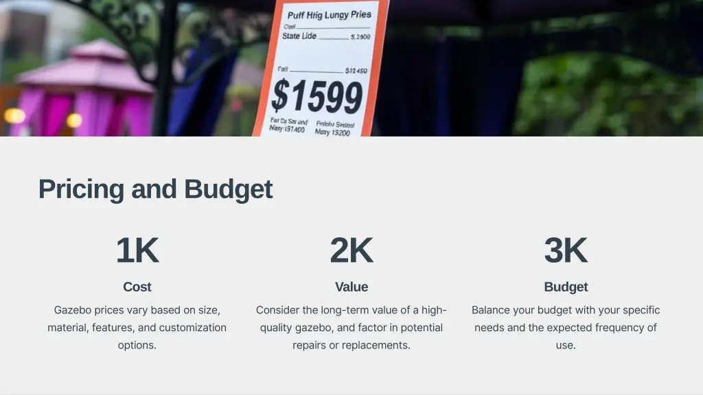 pricing and budget