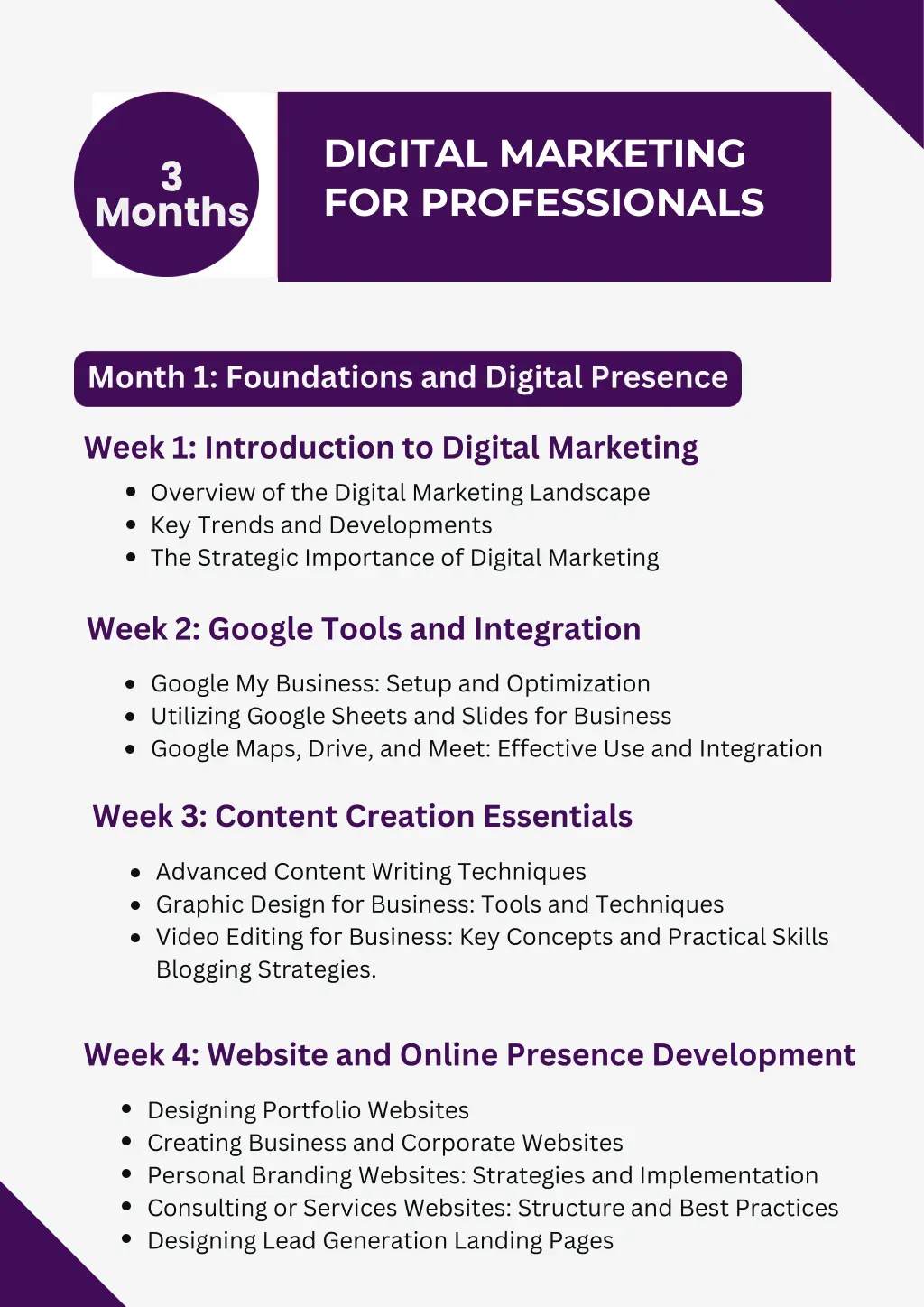 digital marketing for professionals