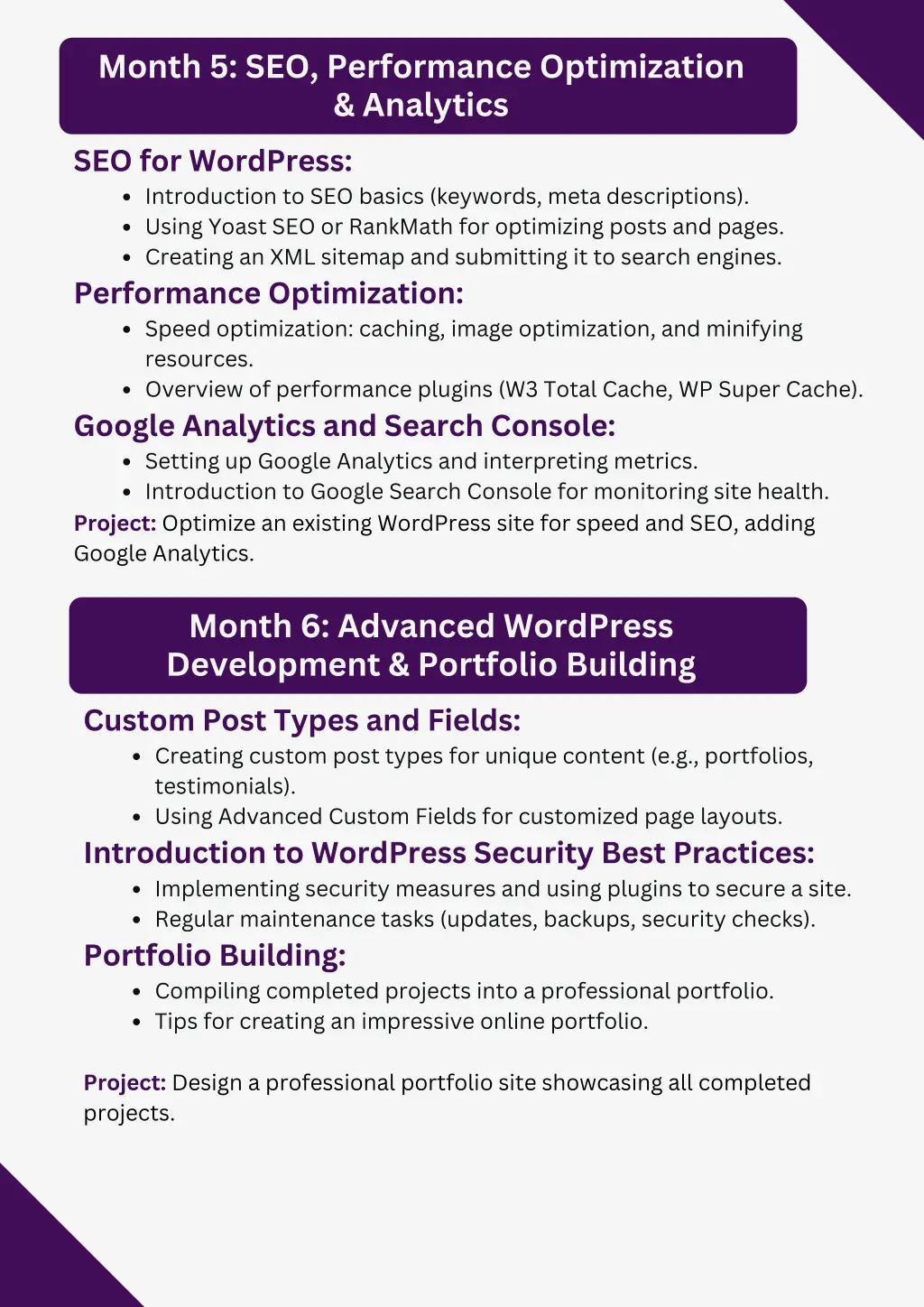 month 5 seo performance optimization analytics