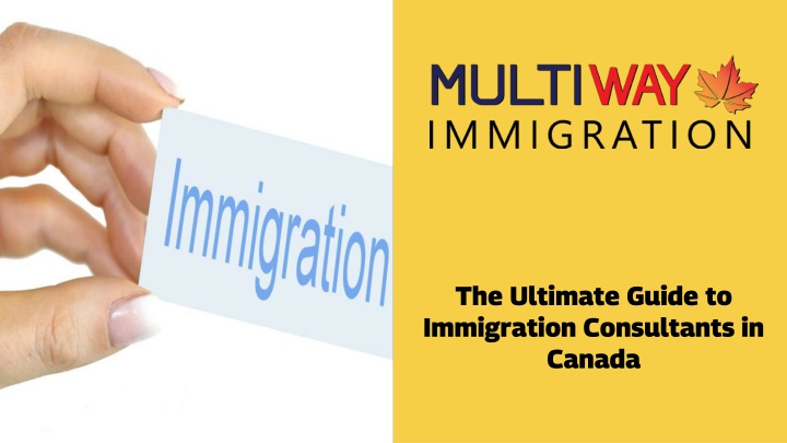 the ultimate guide to immigration consultants