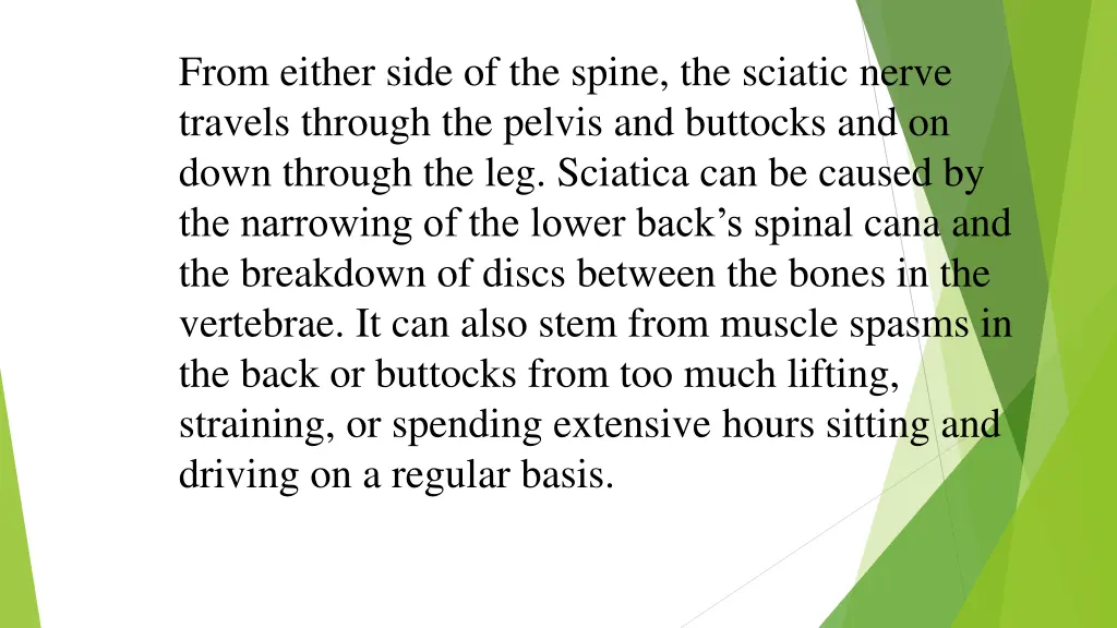 from either side of the spine the sciatic nerve