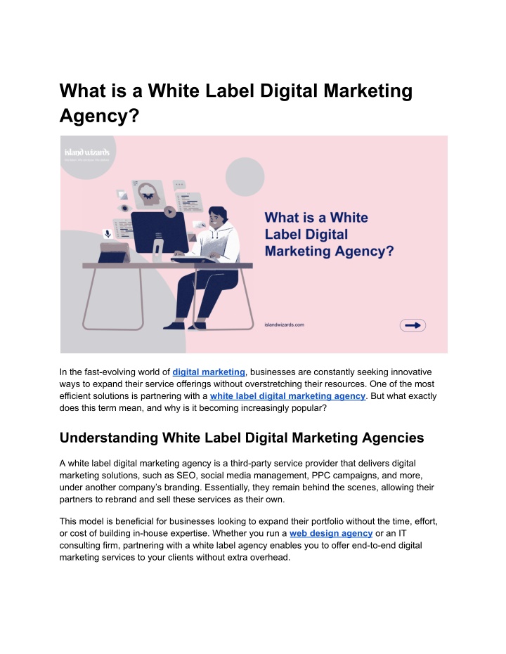 what is a white label digital marketing agency