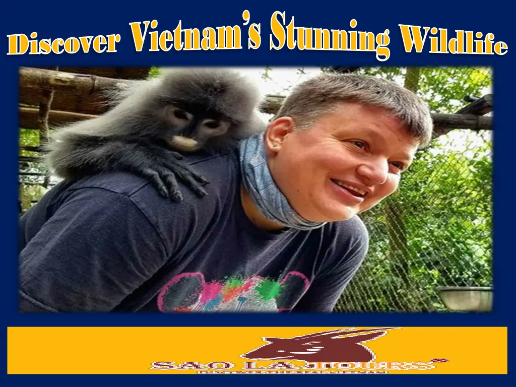 discover vietnam s stunning wildlife discover 1