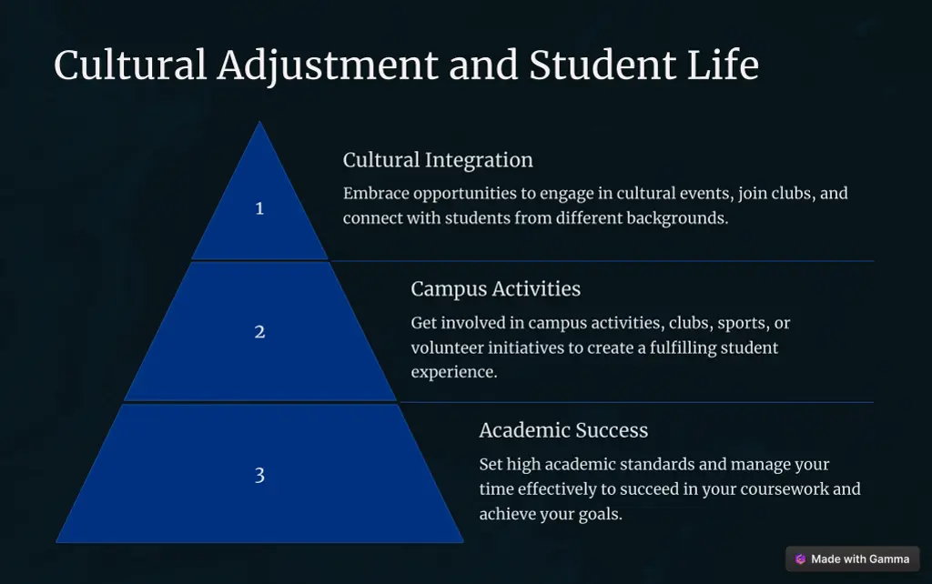 cultural adjustment and student life