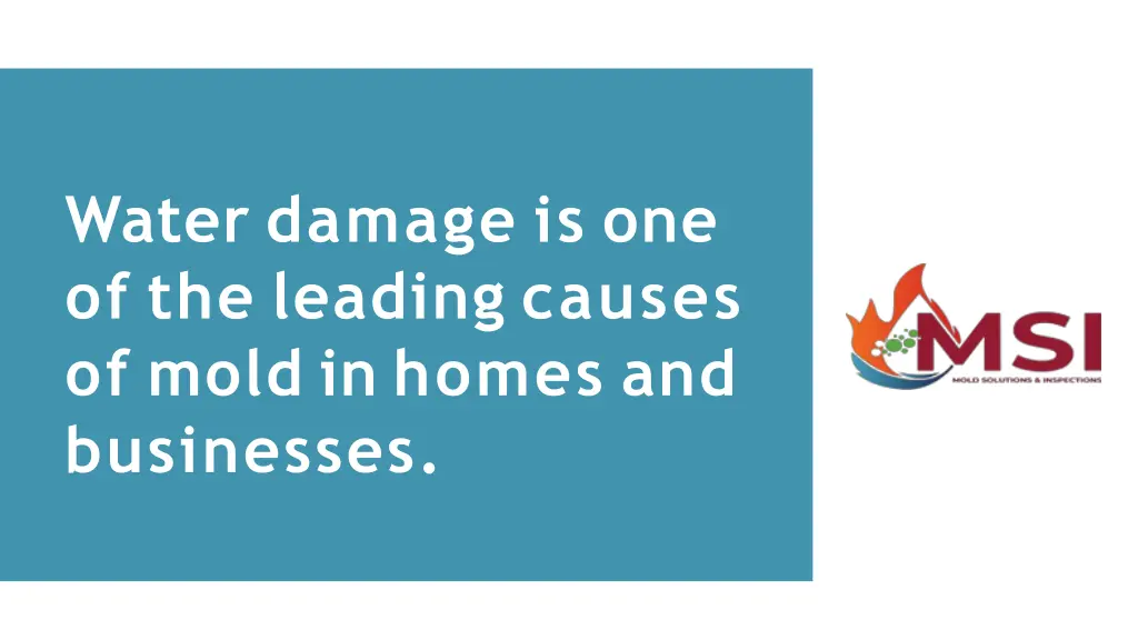 water damage is one of the leading causes of mold