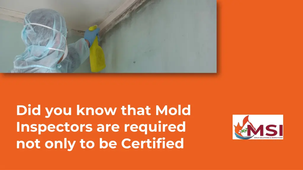 did you know that mold inspectors are required