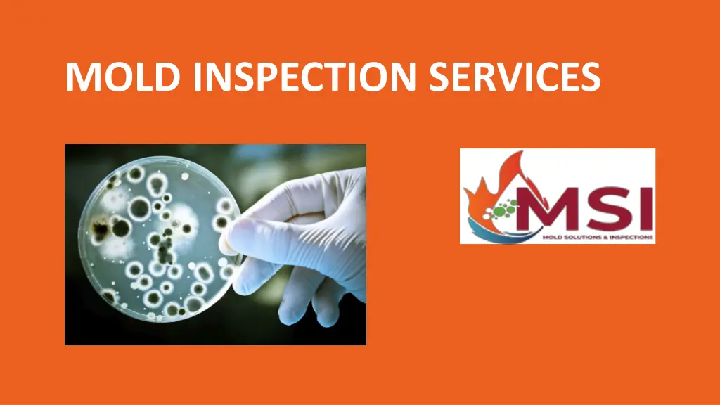 mold inspection services