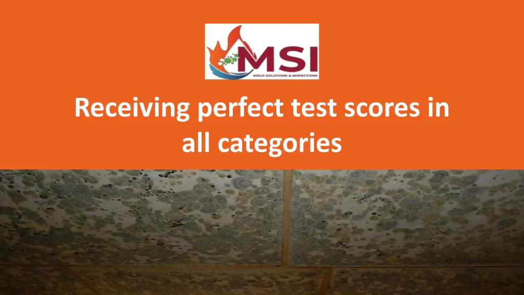 receiving perfect test scores in all categories