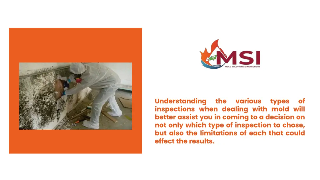 understanding inspections when dealing with mold