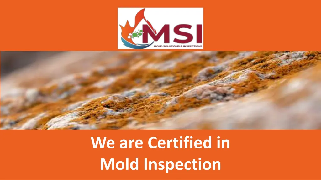 we are certified in mold inspection