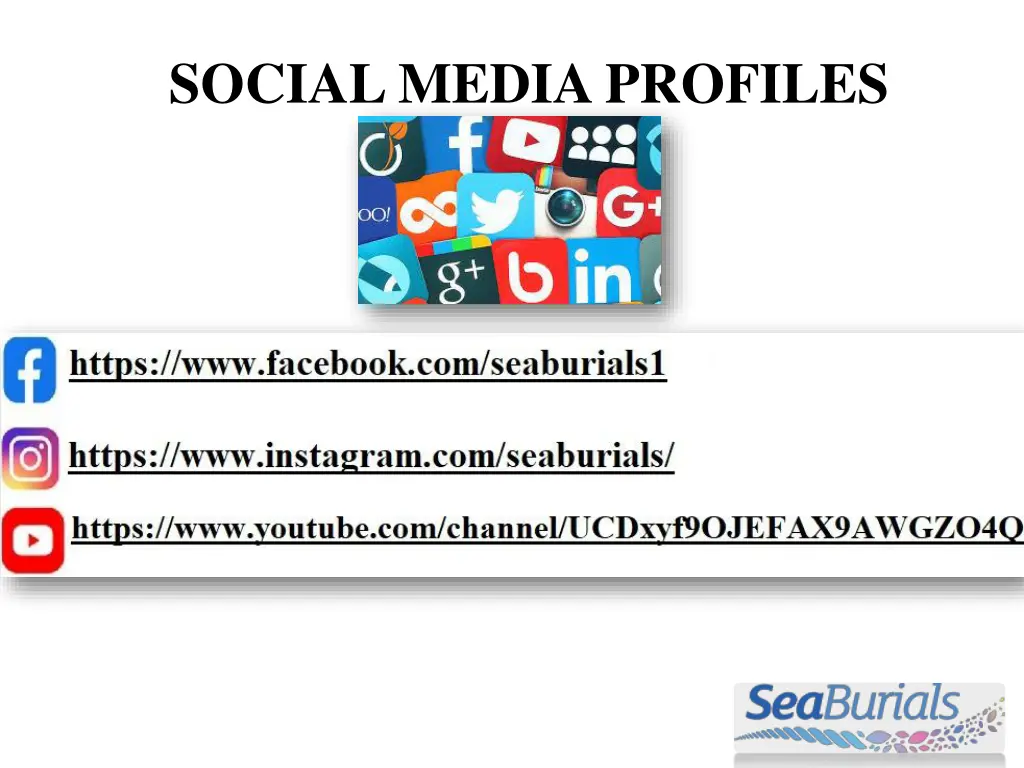 social media profiles