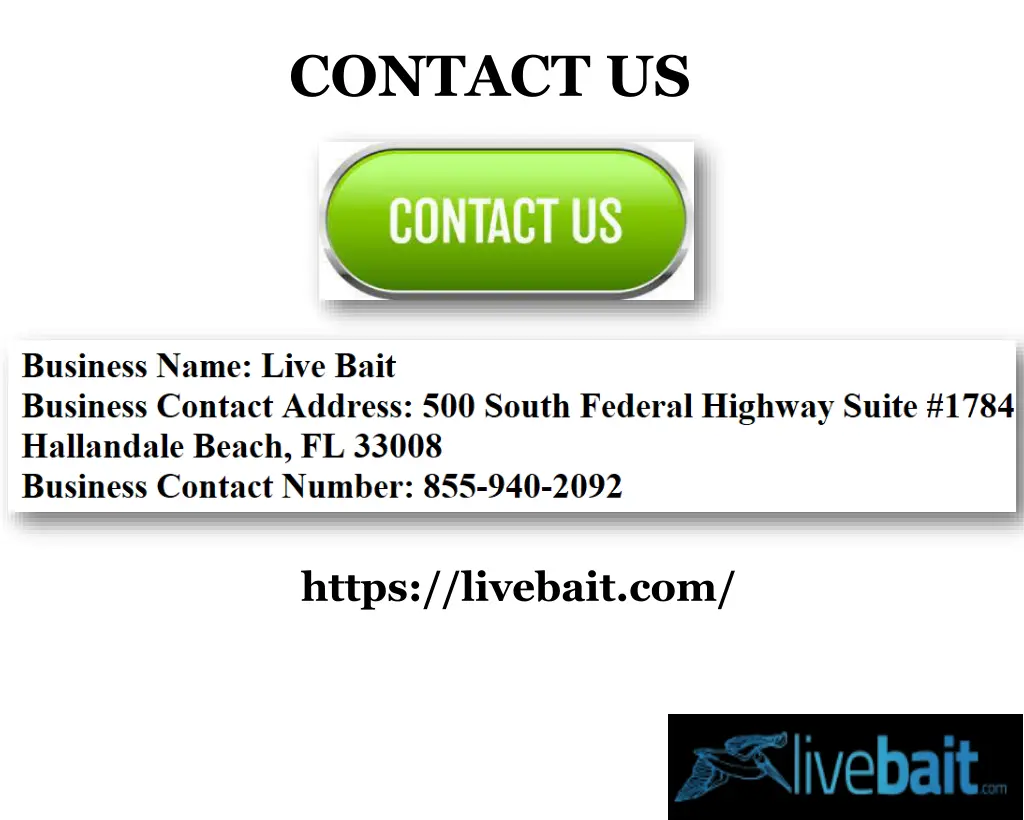 contact us