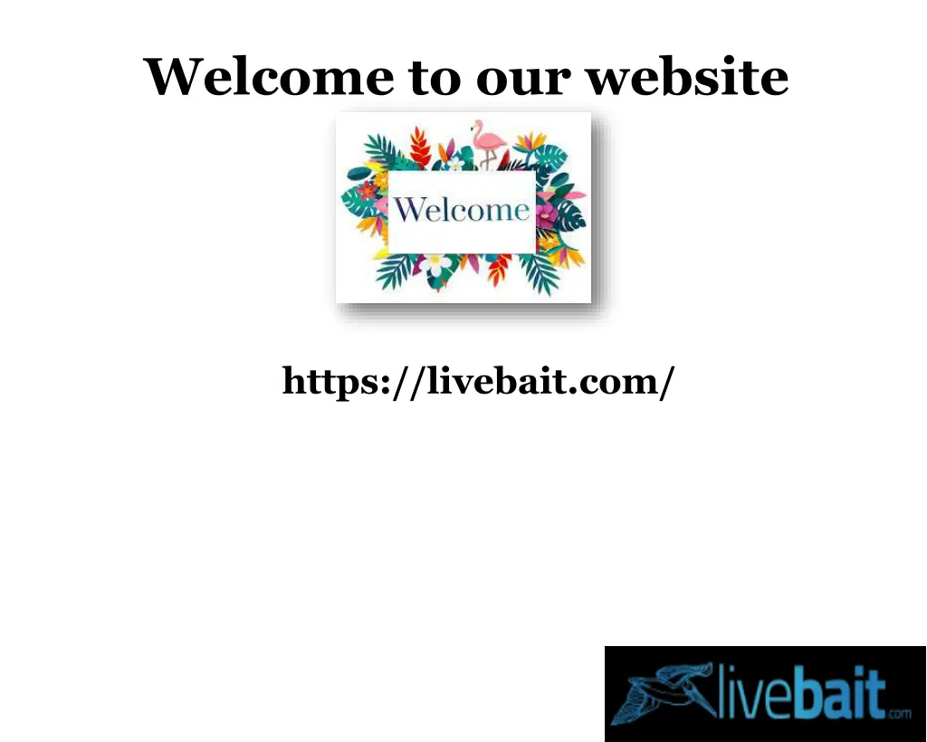 welcome to our website